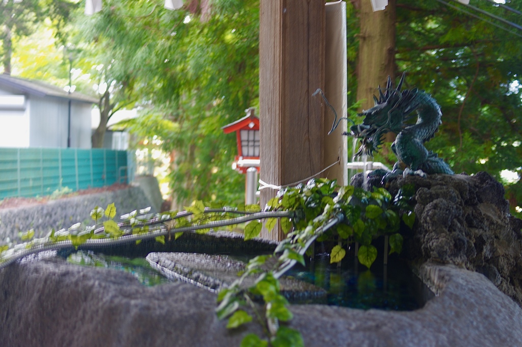 早朝の神社