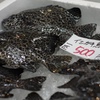イシガキ鯛　1匹500円