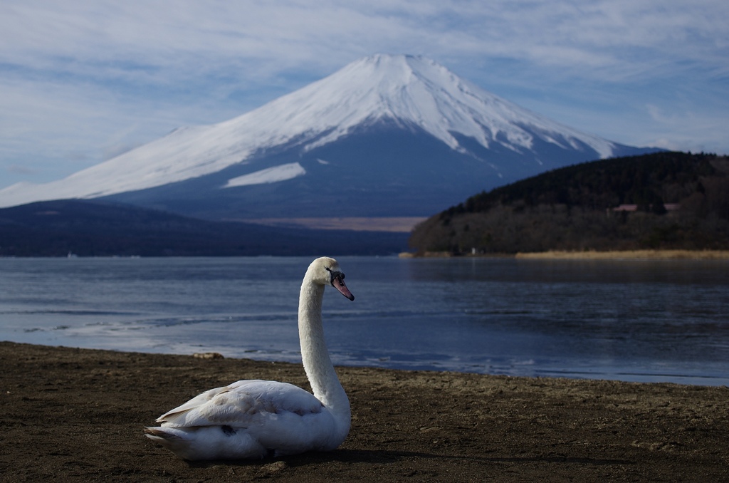 ひとやすみ