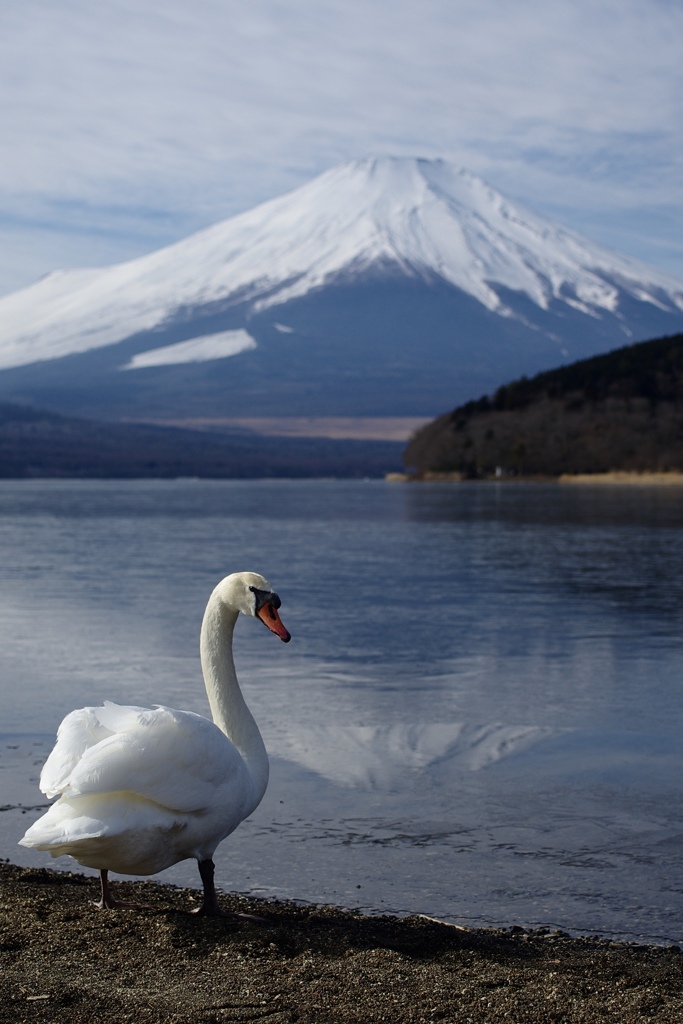 私のこと呼んだ？