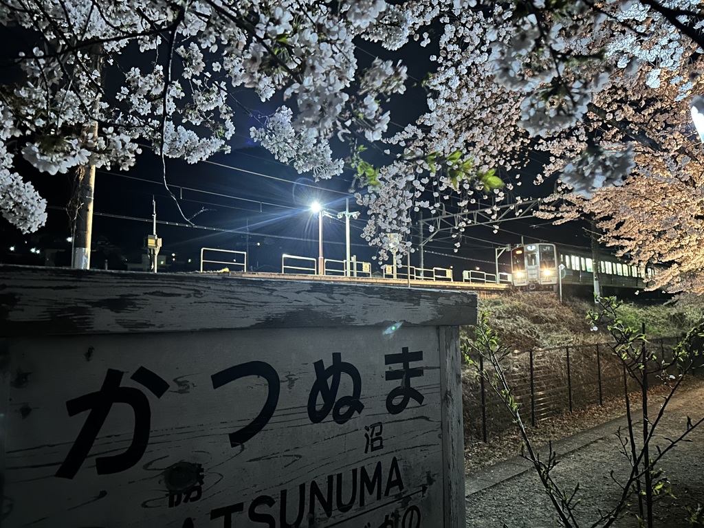 夜桜列車