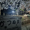 夜桜列車