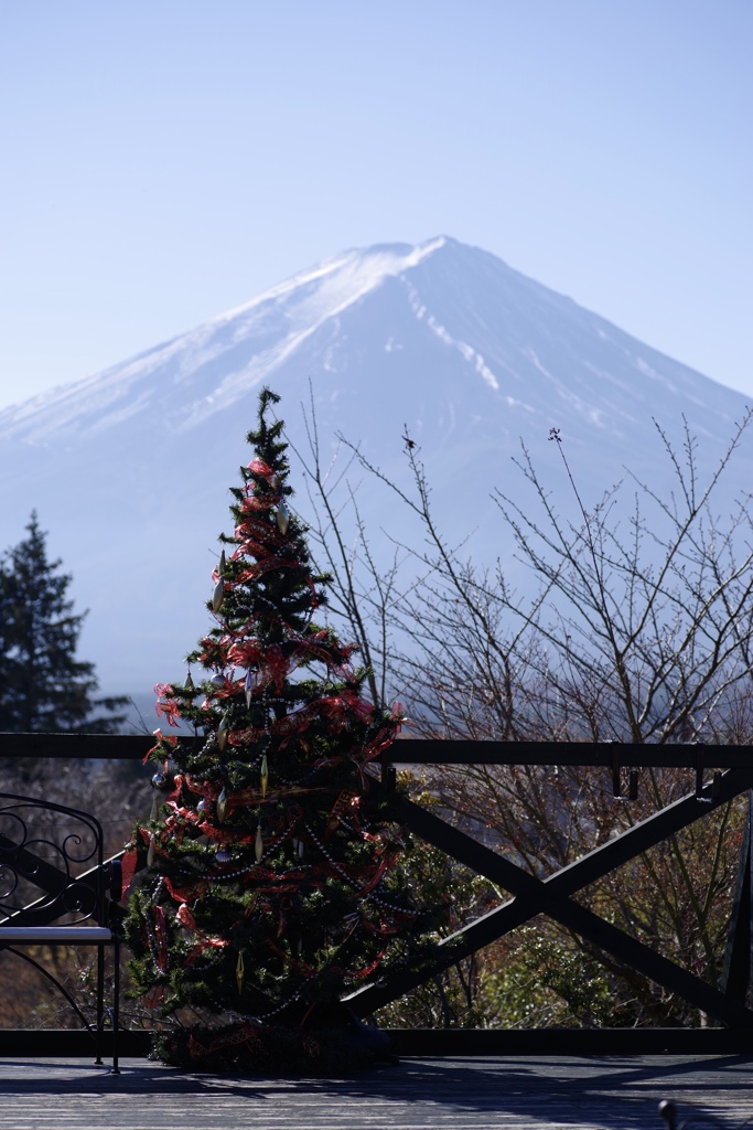 富士山とクリスマスツリー