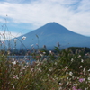 ガウラと富士山