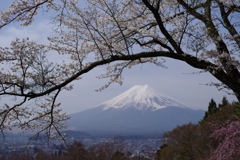 春の富士