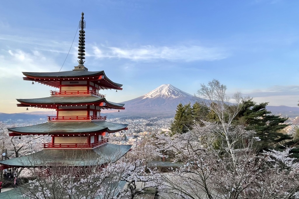 忠霊塔からの富士山と桜