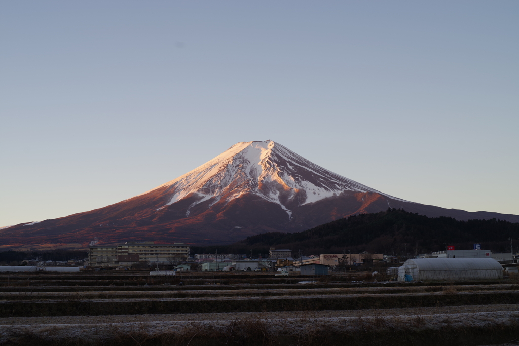 元旦の富士山