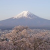 富士と桜と街