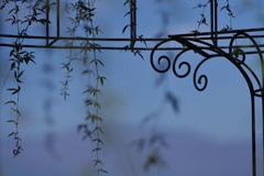 ベンチでひとやすみ