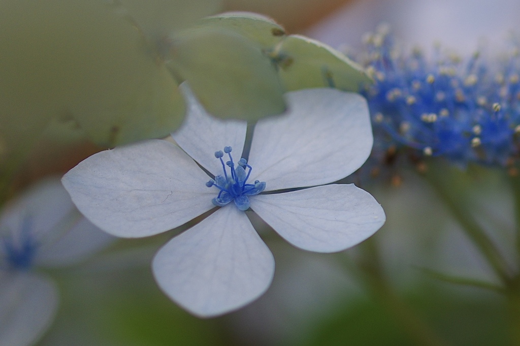 真ん中にお星様⭐︎