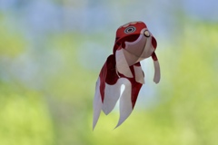フライング金魚