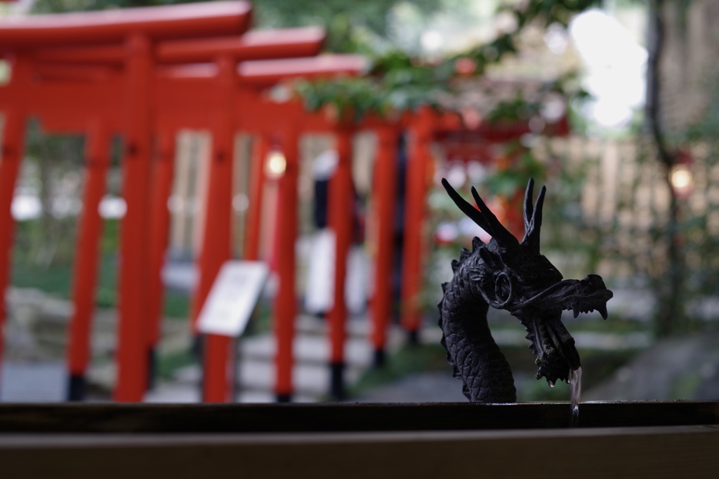 鳥居と龍