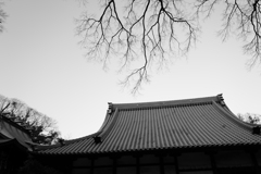 空