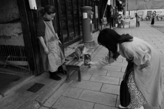 ドリンク店の看板犬