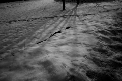 shadow