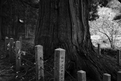 威厳と神聖