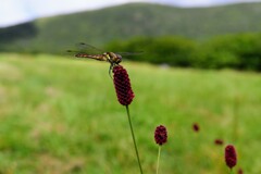 休憩中