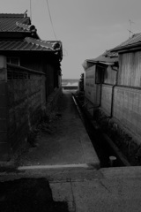 路地から波