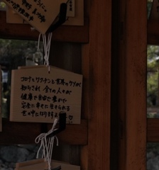 正解