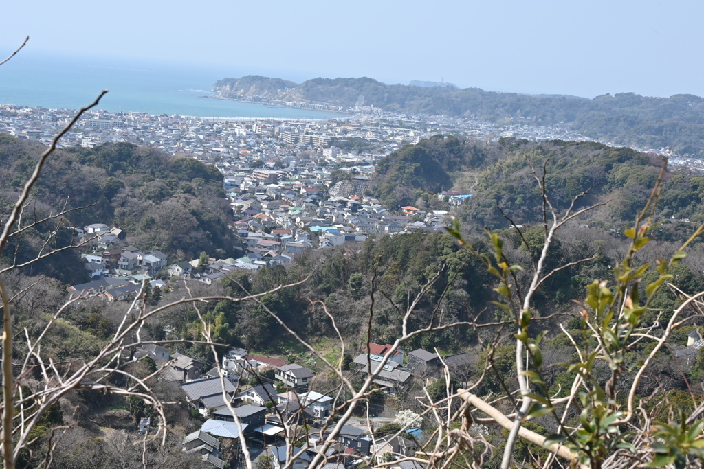 海街dairy