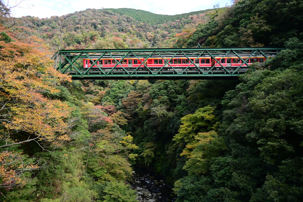 箱根登山鉄道