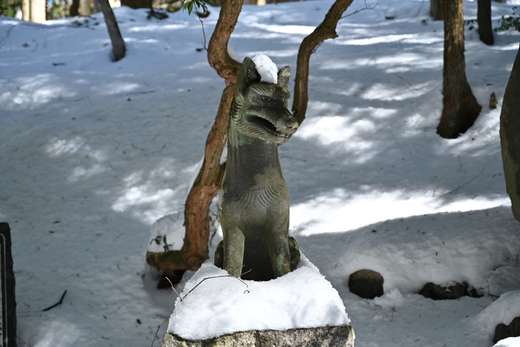 三峯神社、狼