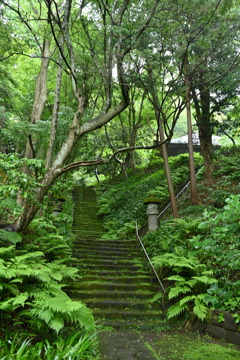 鎌倉・妙法寺