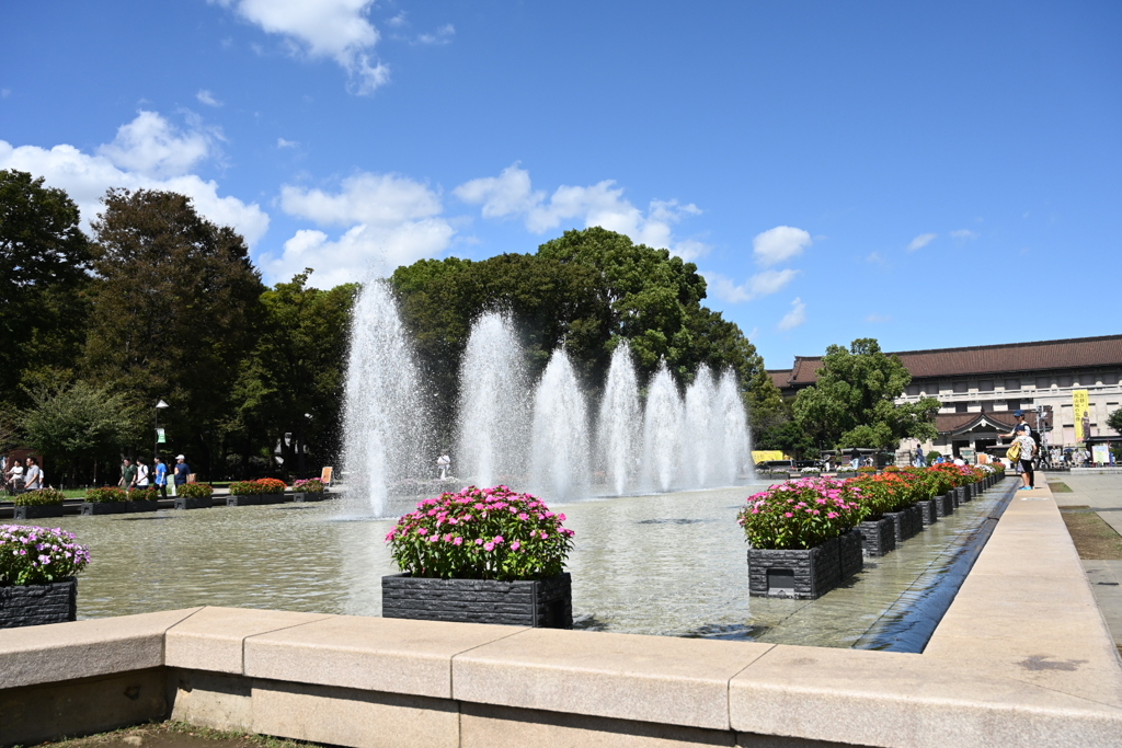 上野公園、噴水。