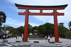 鎌倉、鶴岡八幡宮