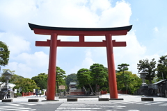 鎌倉・鶴岡八幡宮