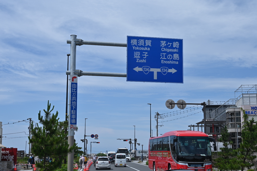 海