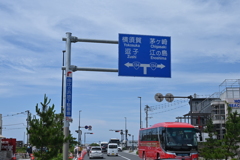 海