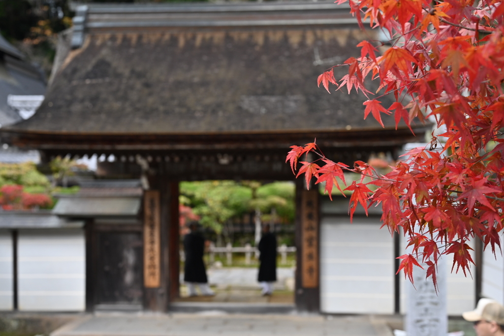 室生寺