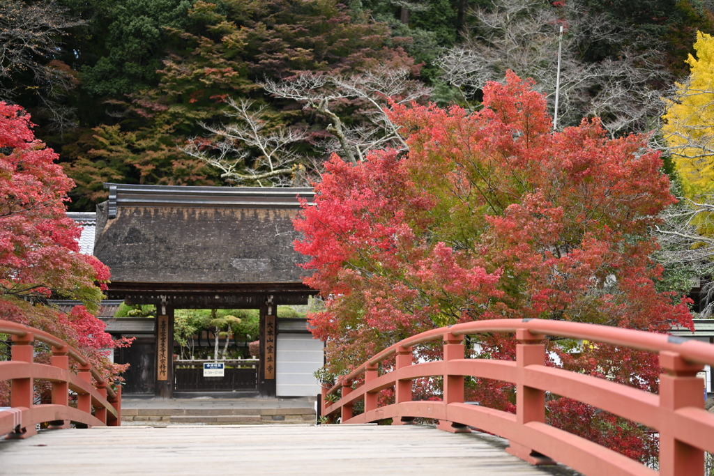 奈良・室生寺