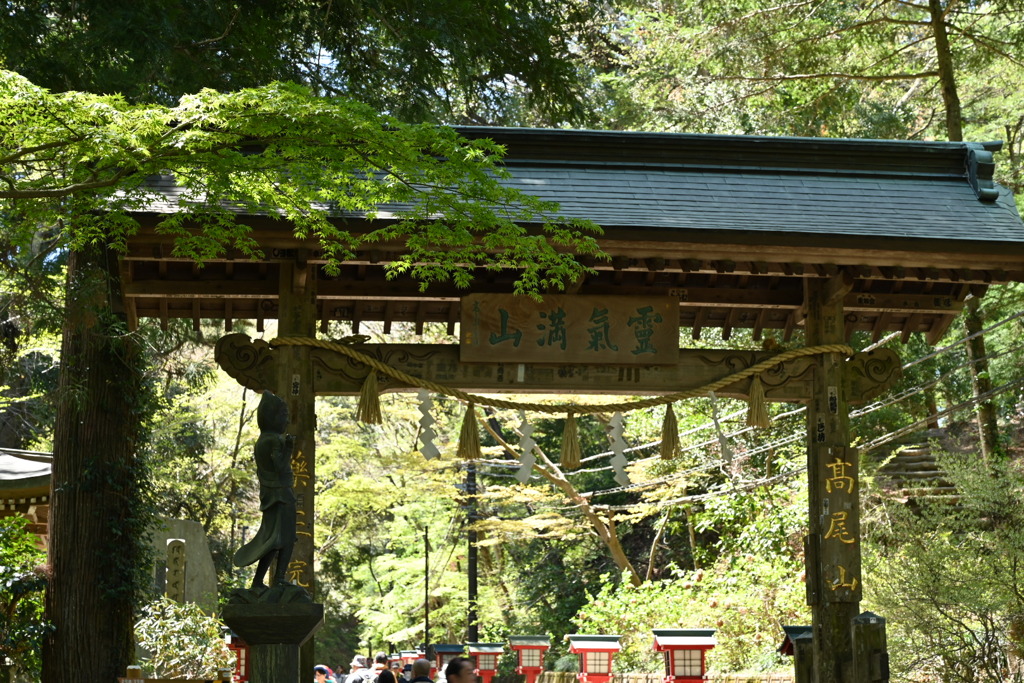 高尾山・若葉
