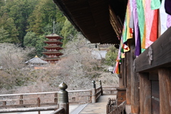 奈良、長谷寺、五重塔