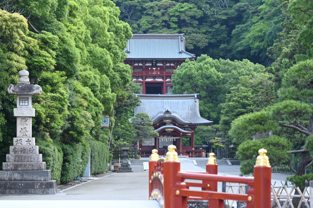鎌倉、鶴岡八幡宮