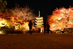東寺、ライトアップ