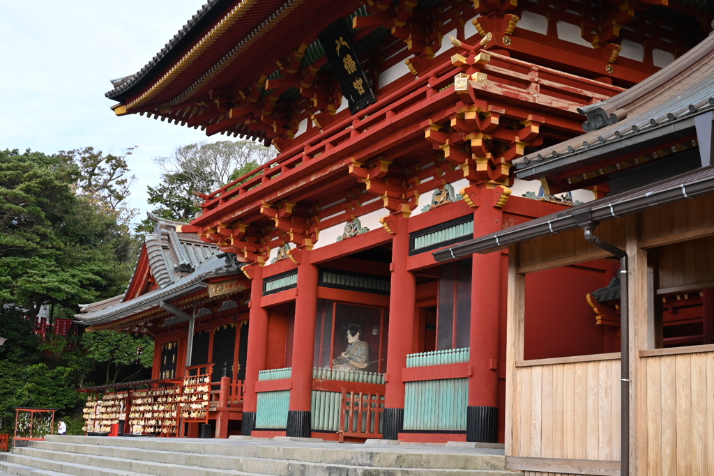 鎌倉、鶴岡八幡宮