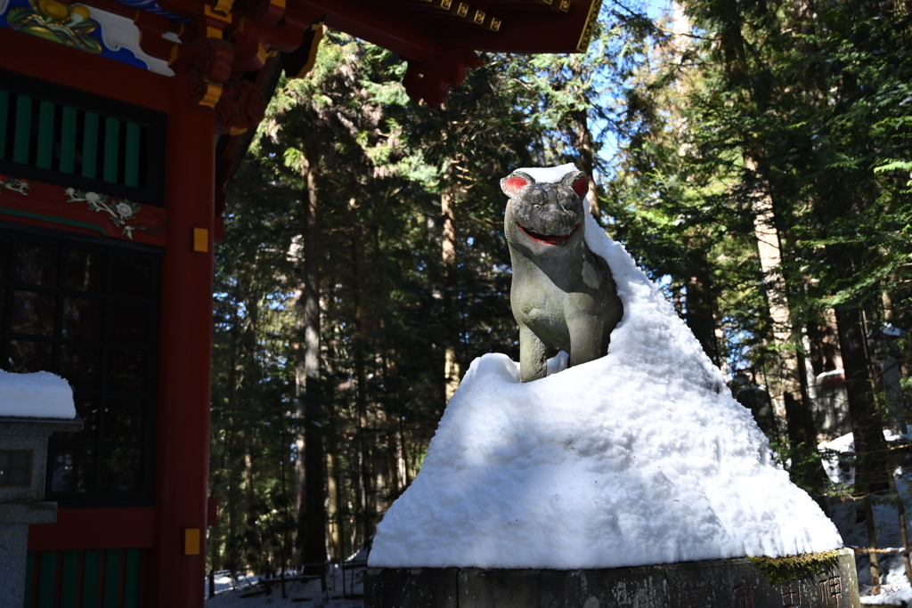 雪と狼