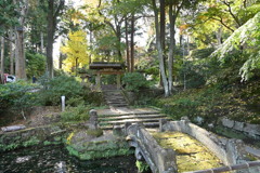 鎌倉・浄智寺