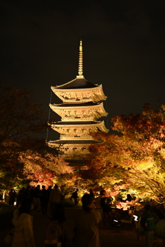 京都・東寺