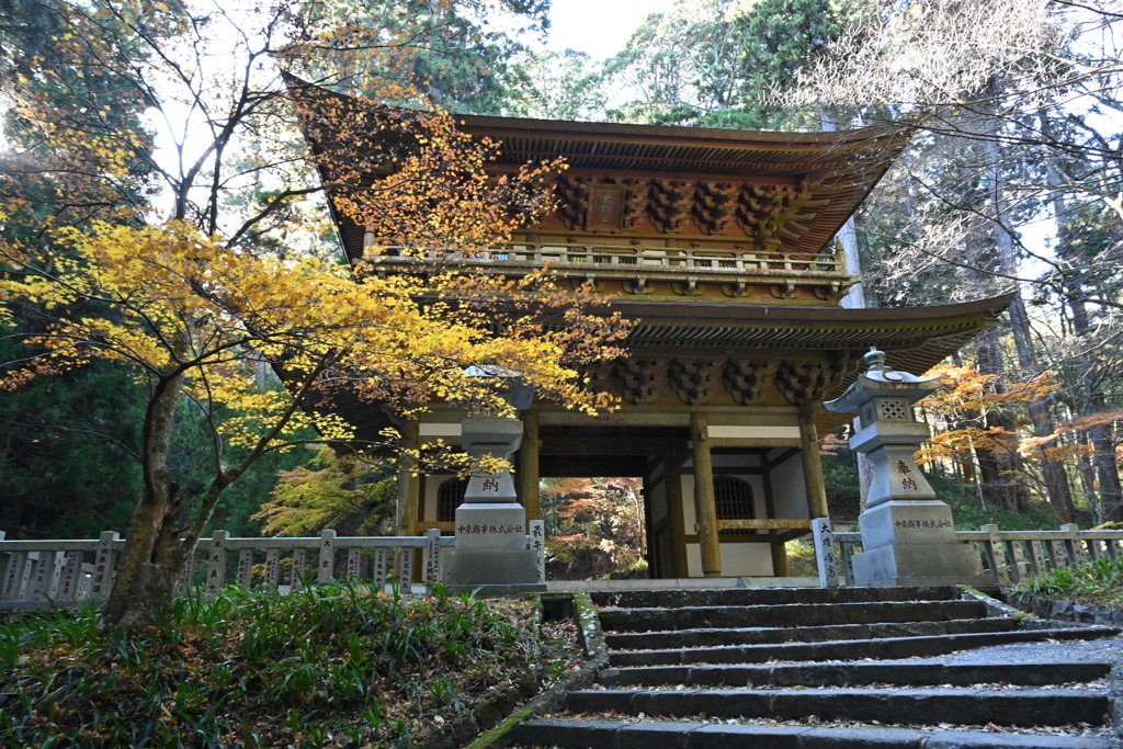 大雄山、最乗寺、三門