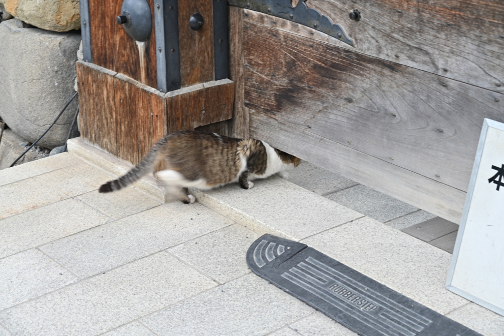 すり抜け