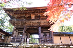 京都、神護寺