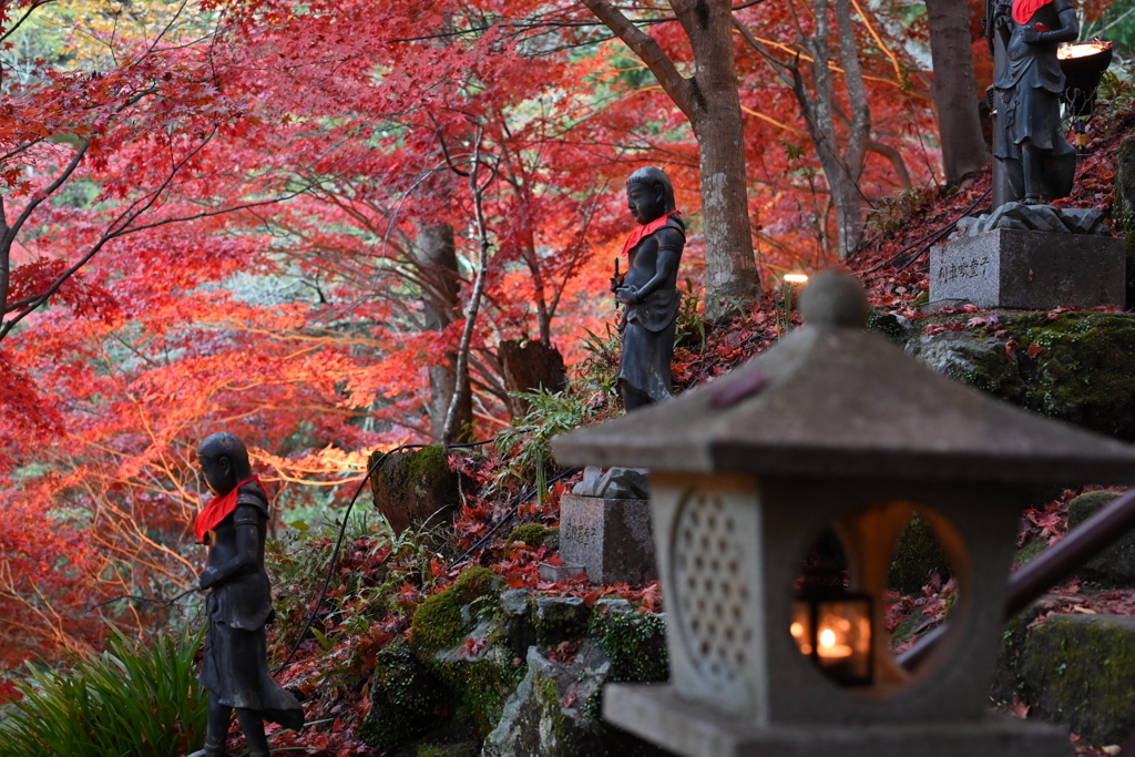 大山寺、紅葉