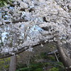 北鎌倉、円覚寺