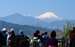 高尾山