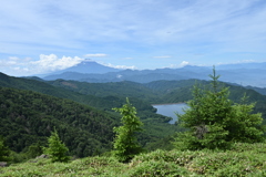大菩薩嶺