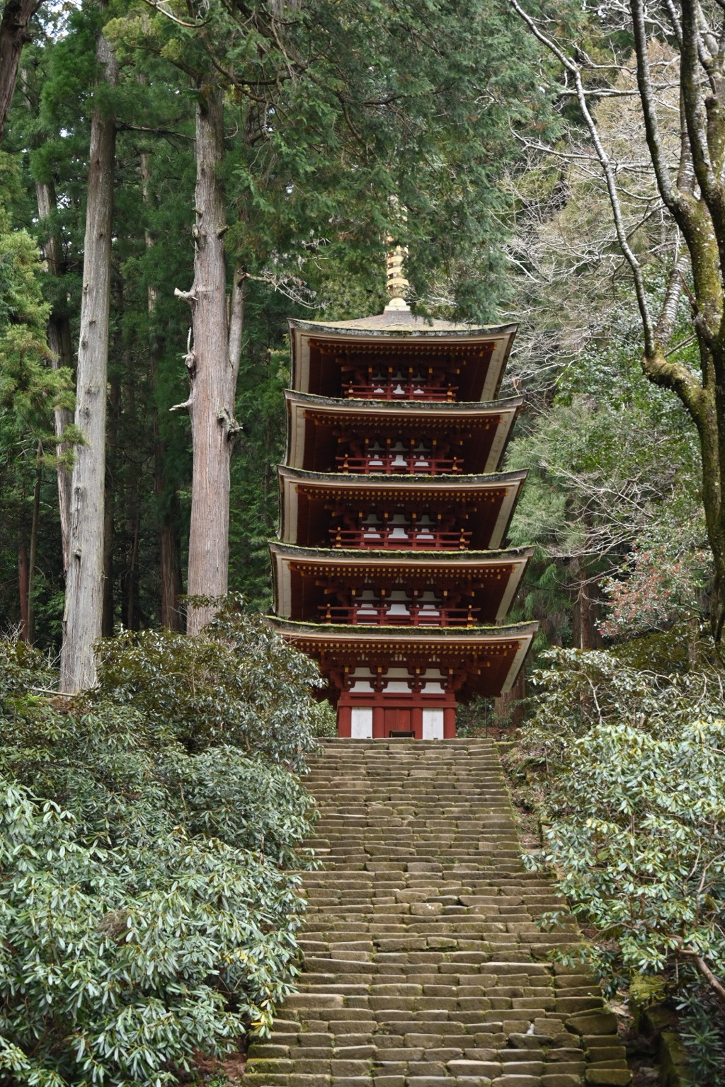奈良・室生寺・五重塔